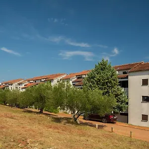 Hostin Garoful Duga Uvala Horvátország